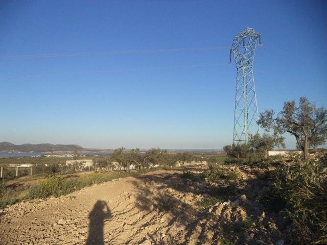Terrain vente à Bir Mcherga