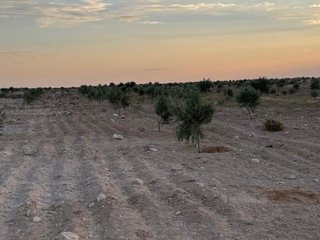 Terrain vente à Gabes, Gabes Medina