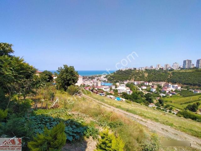 Atakum, Samsun içerisinde satılık mülk