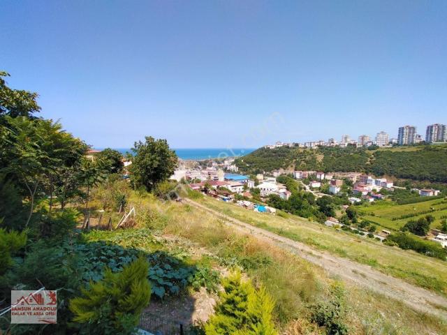 Atakum, Samsun içerisinde satılık mülk