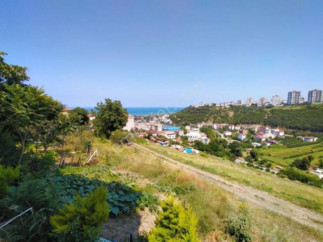 Atakum, Samsun içerisinde satılık mülk