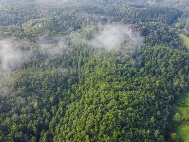 Land for sale in Tennessee