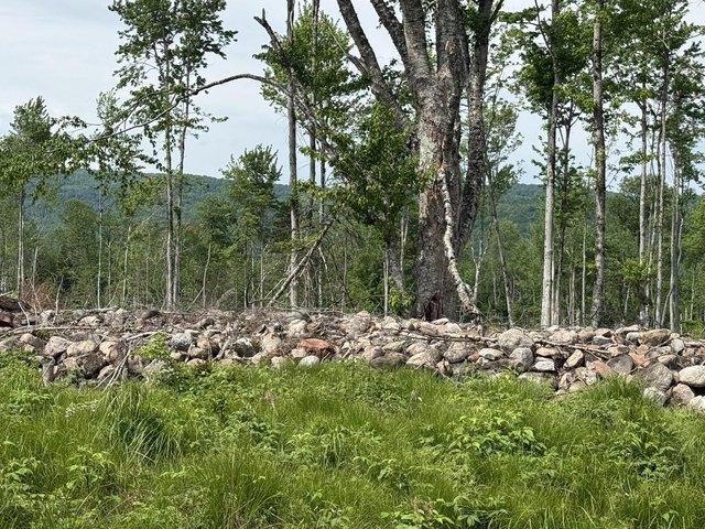 Land for sale in Franklin, New York