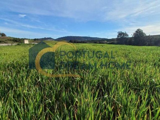 Terreno venda em São Bartolomeu De Messines, Faro