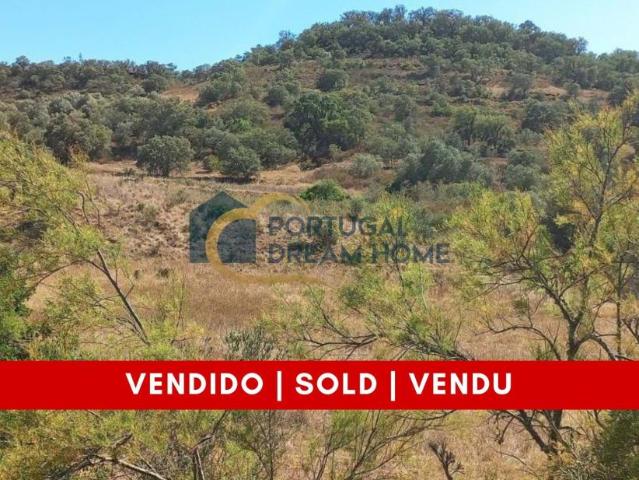 Terreno venda em São Bartolomeu De Messines, Faro