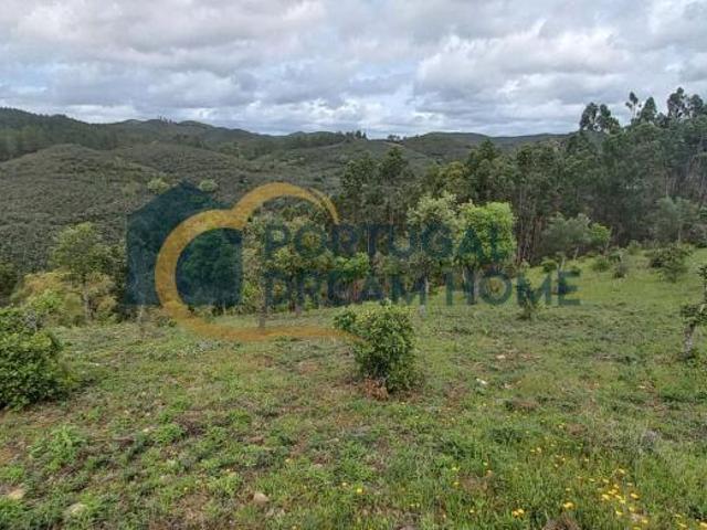 Terreno venda em São Bartolomeu De Messines, Faro