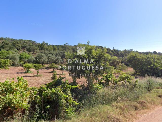 Terreno venda em São Brás De Alportel, Faro