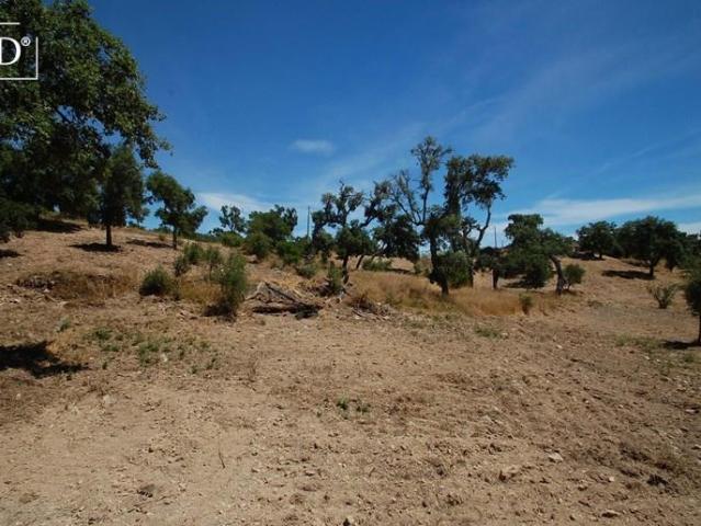 Terreno venda em São Brás De Alportel, Faro