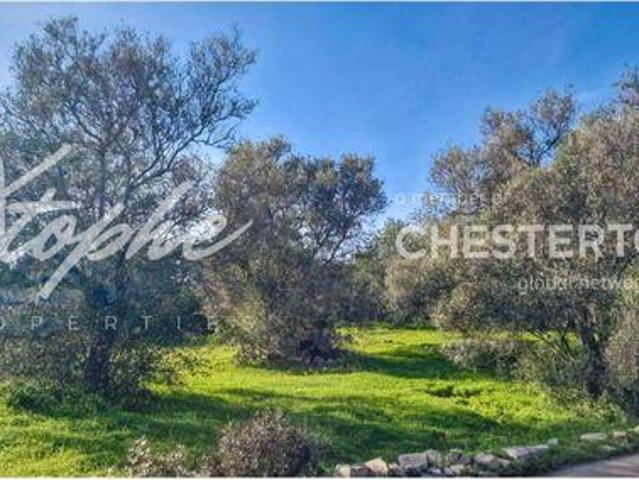 Loja venda em São Brás De Alportel, Faro