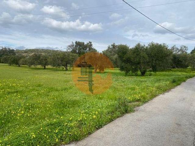 Terreno venda em São Brás De Alportel, Faro