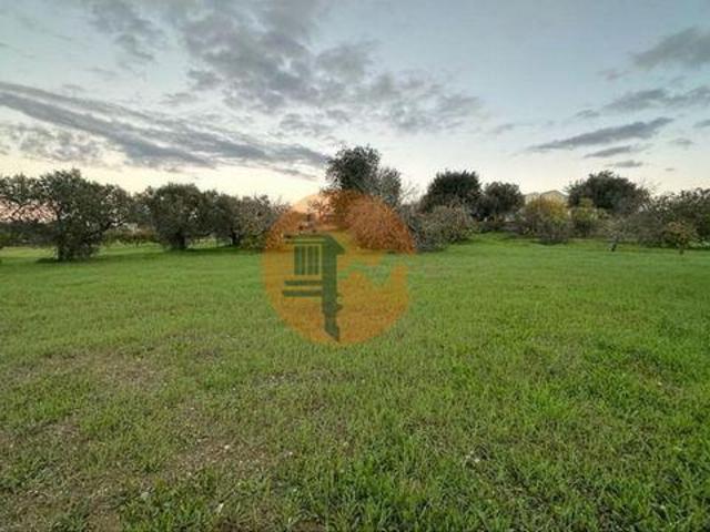 Terreno venda em São Brás De Alportel, Faro
