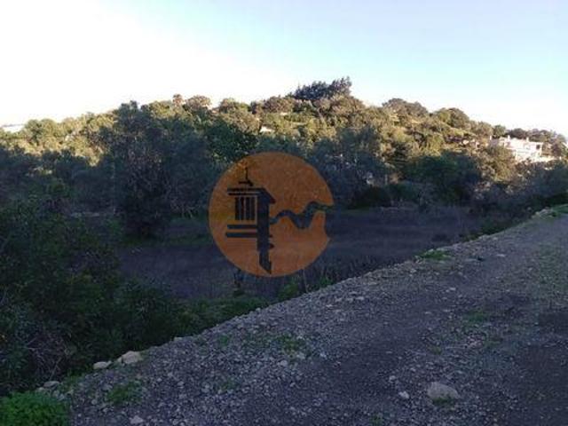 Terreno venda em São Brás De Alportel, Faro