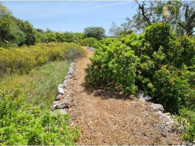 Terreno venda em São Brás De Alportel, Faro