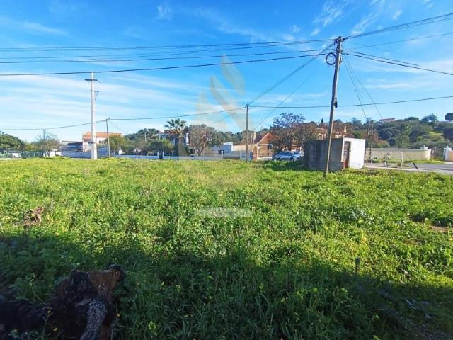 Terreno venda em São Brás De Alportel, Faro