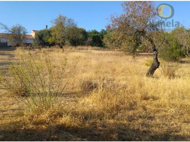 Terreno venda em São Brás De Alportel, Faro