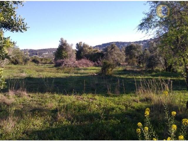 Terreno venda em São Brás De Alportel, Faro