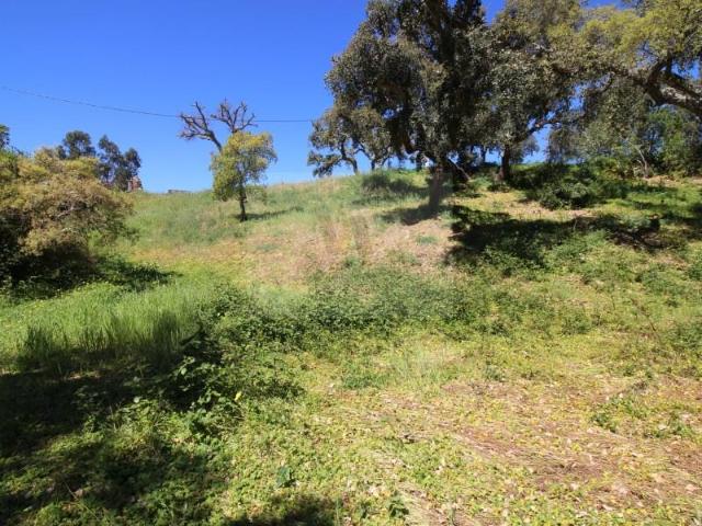 Terreno venda em São Brás de Alportel