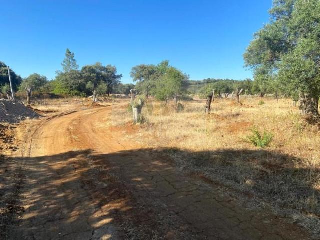 Terreno venda em Cerro do Alportel, São Brás De Alportel