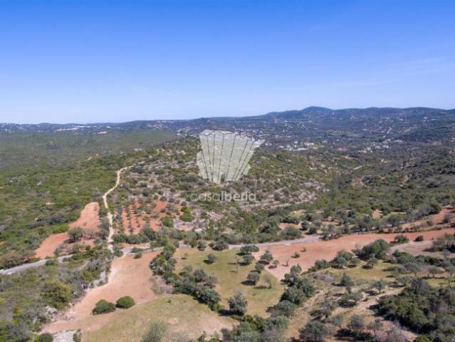 Terreno venda em São Brás De Alportel, Faro