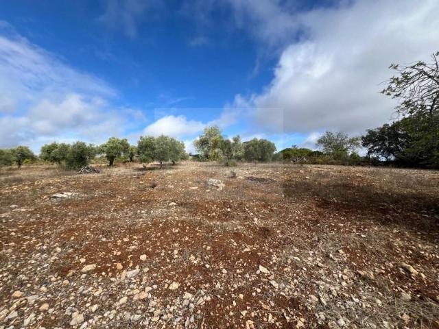 Terreno venda em São Brás De Alportel, Faro