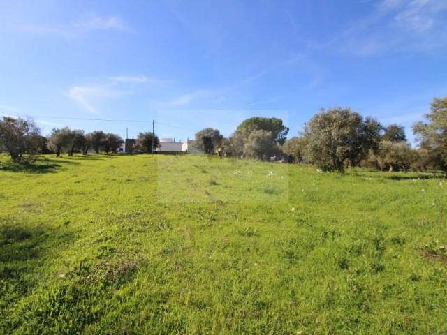 Terreno venda em São Brás De Alportel, Faro