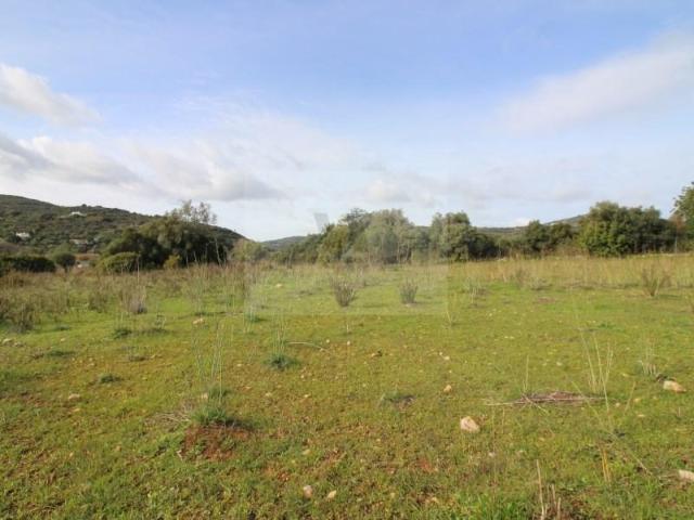 Terreno venda em São Brás De Alportel, Faro