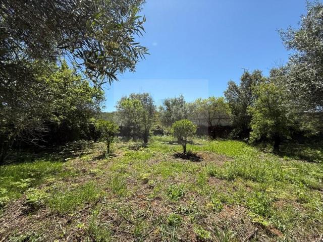 Terreno venda em São Brás De Alportel, Faro