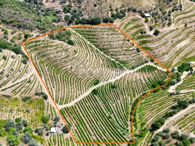 Terreno venda em Nagoselo Do Douro, Viseu