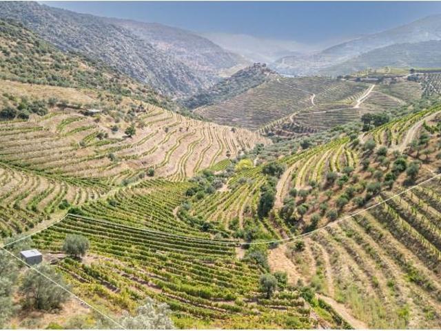 Terreno venda em Nagoselo Do Douro, Viseu