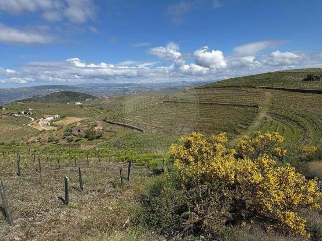 Terreno venda em Nagoselo Do Douro, Viseu