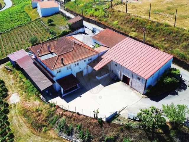 Terreno venda em Nagoselo Do Douro, Viseu