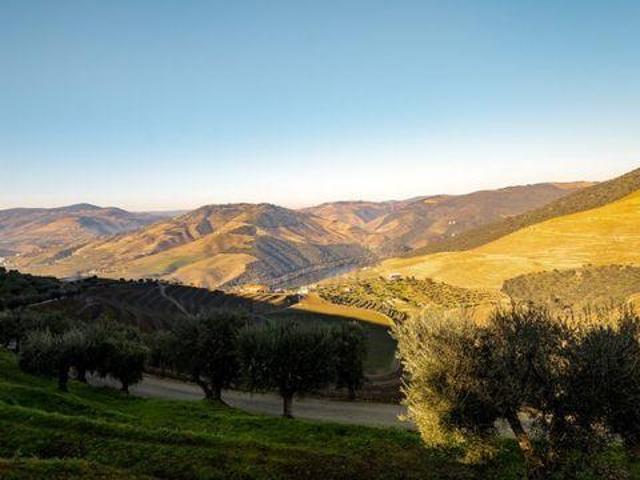 Terreno venda em Nagoselo Do Douro, Viseu