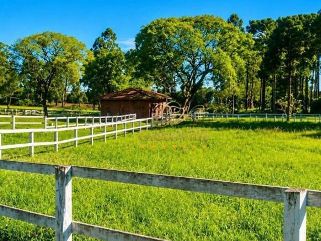 Sítio e chácara venda em Região Geográfica Imediata de Curitiba, Região Metropolitana de Curitiba