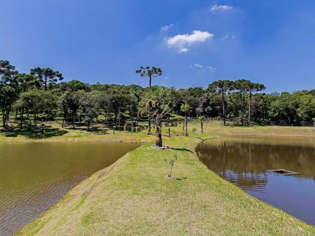Sítio e chácara venda em Região Geográfica Imediata de Curitiba, Região Metropolitana de Curitiba