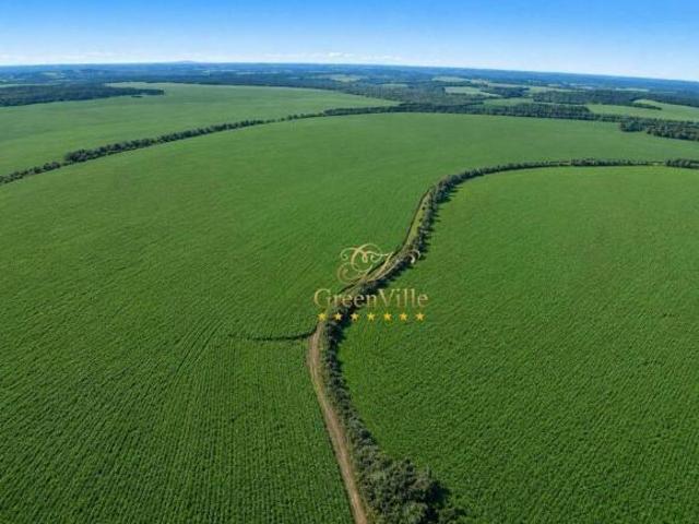 Sítio e chácara venda em São Mateus do Sul, Região Geográfica Intermediária de Curitiba