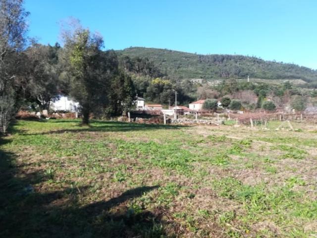 Terreno venda em Foio, Boalhosa