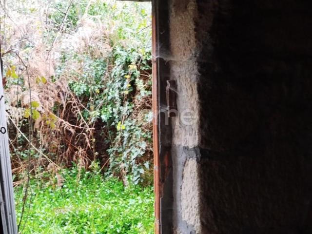 Casa venda em São Pedro Do Sul, Viseu