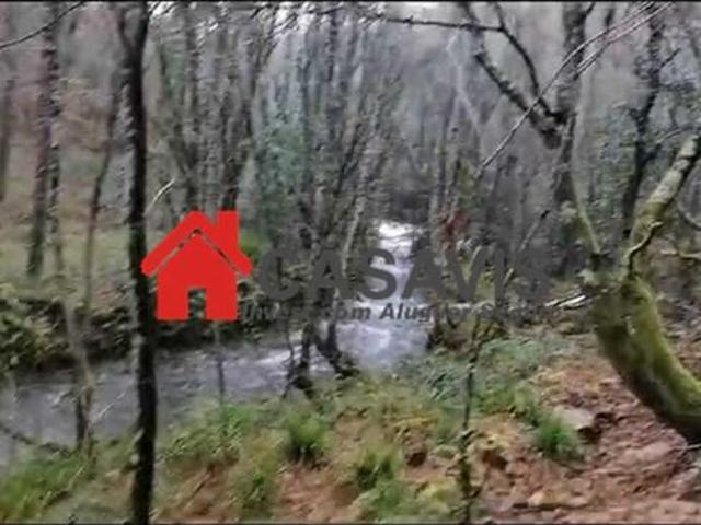 Terreno venda em São Pedro Do Sul, Viseu