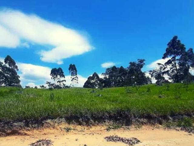 Terreno venda em Villagio Emília, São Roque