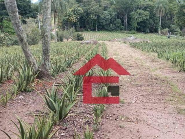 Sítio e chácara venda em Residencial Sítio Pinheiros, São Roque