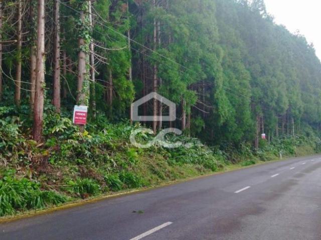 Terreno venda em Açores, São Roque Do Pico