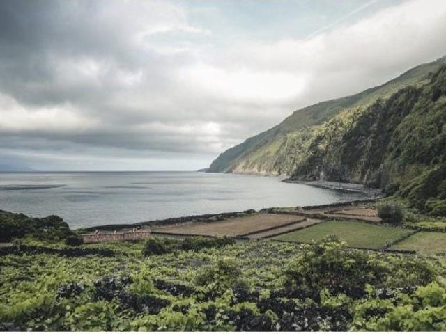 Terreno venda em Açores, São Roque Do Pico