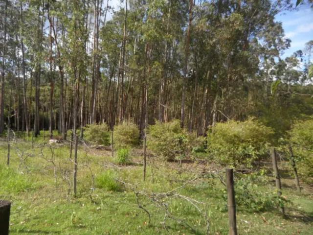 Fazenda venda em Região Imediata de Sorocaba, Região Metropolitana de Sorocaba