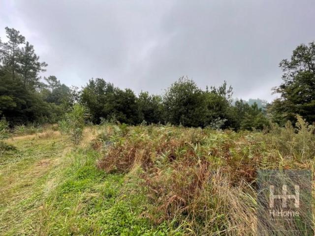 Terreno venda em São Vicente, Ilha Da Madeira