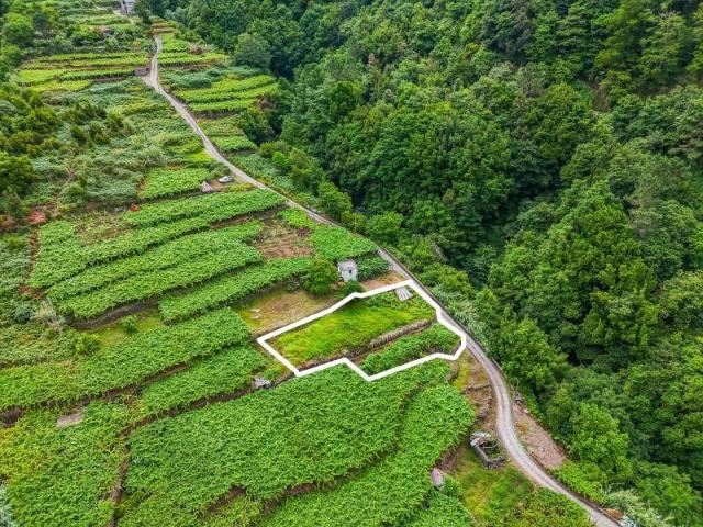 Terreno venda em São Vicente, Ilha Da Madeira
