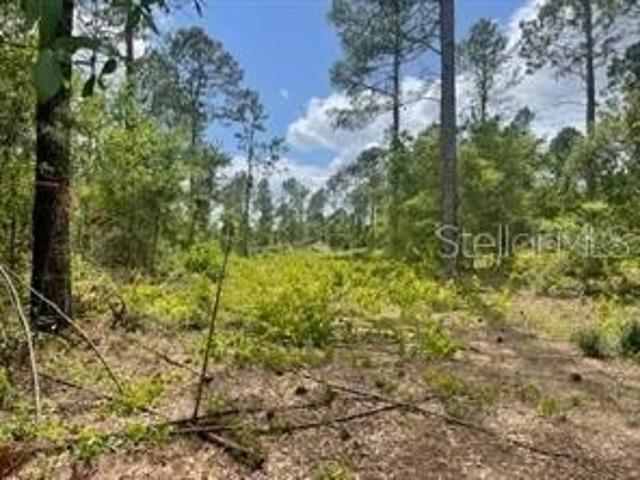 Land for sale in Groveland