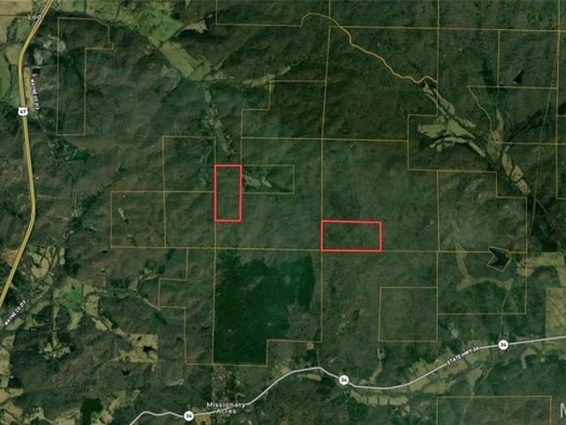 Land for sale in Silva, Missouri