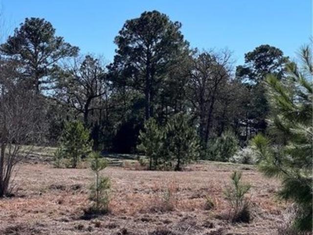 Land for sale in Paige, Texas