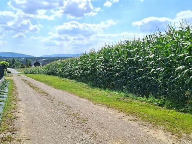 Grunt na sprzedaż w Osiek, Małopolskie