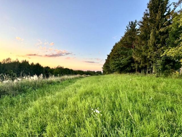 Grunt na sprzedaż w Rzeszów, Podkarpackie